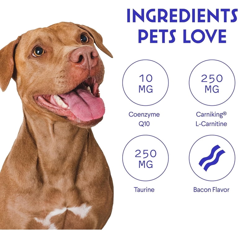 l carnitine for dogs heart FERA Cardiac Support Supplement | Dogs Cats | Taurine, L-Carnitine, CoQ10,  Hawthorn, Vitamin E | Promotes Heart Health & Circulation | 120 Capsules |  Buy Now with Express International Delivery main image 1