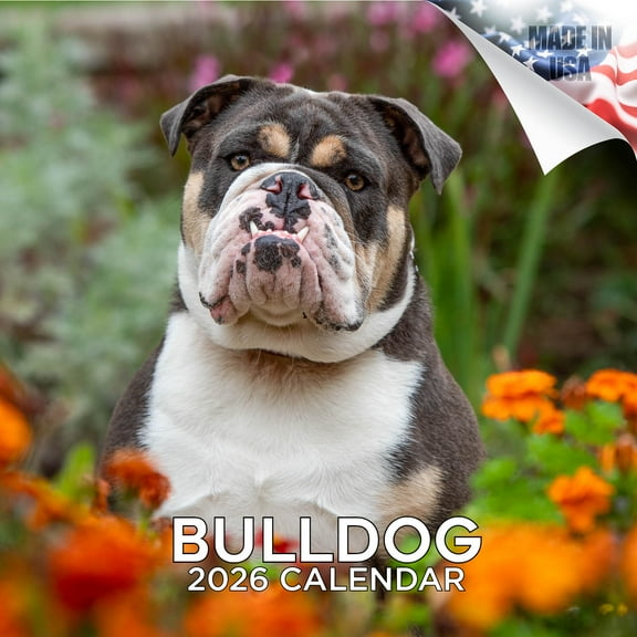2025 2026 Bulldog Calendar - Dog Breed Monthly Wall Calendar - 12 x 24 Open - Thick No-Bleed Paper - Giftable - Academic Teacher's Planner Calendar Organizing & Planning - Made in USA