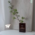 thumbnail image 3 of Vase Livre en Acrylique pour Arrangement Floral, 3 of 5