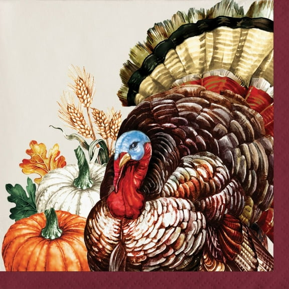 Vintage Turkey Paper Beverage Napkins 16 Per Pack