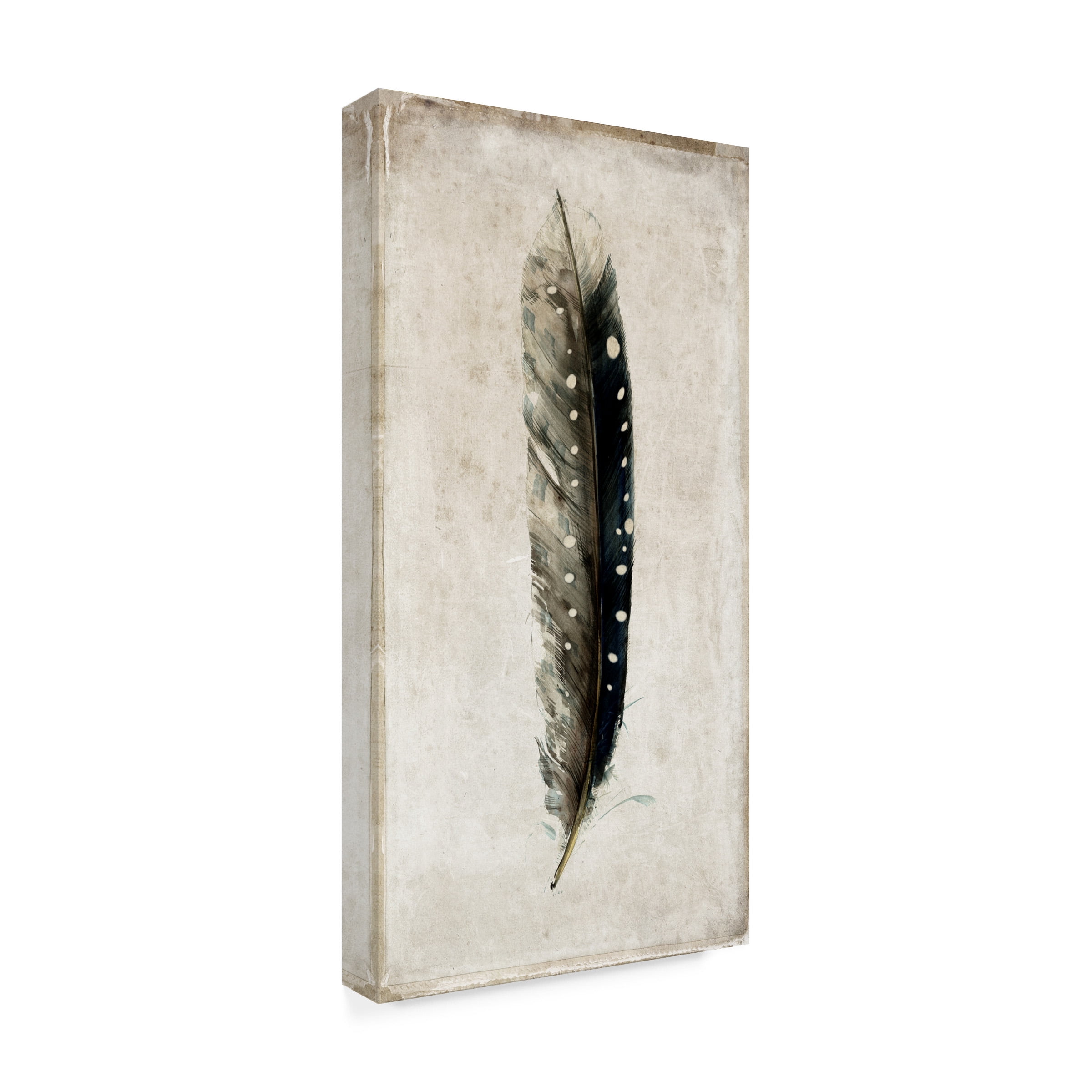 Symposium Design 'Feather 2' Canvas Art