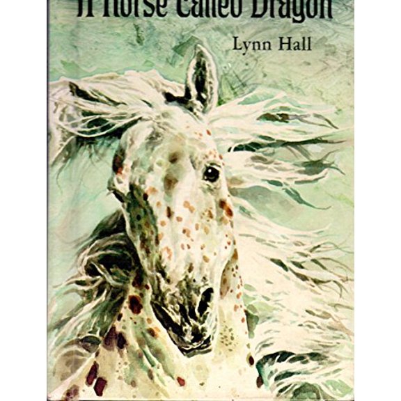 Pre-Owned Horse Called Dragon (Hardcover) 0695401343 9780695401344