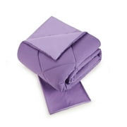 Urban Playground Kids and Teens Iris Solid Purple 2-Piece Comforter Set, Twin/Twin XL