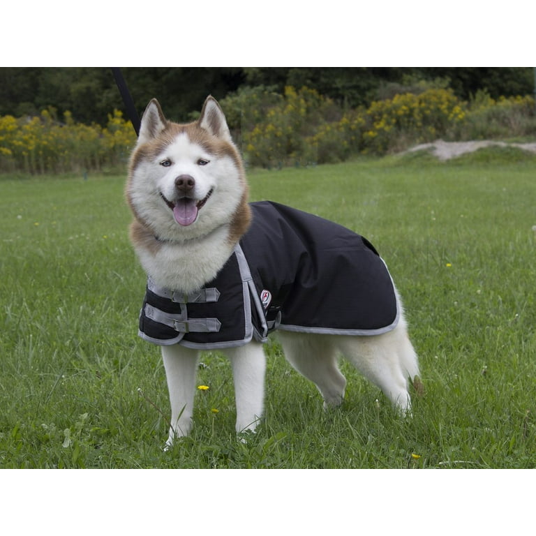 Derby originals dog coat sale