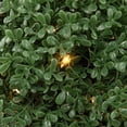thumbnail image 6 of Northlight 20" Pre-Lit Artificial Boxwood Ball Topiary in Round Pot, Clear Lights, 6 of 8