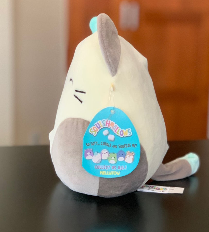 Squishmallow Kellytoy Cat Large 16 Inch Blair The Mint and Grey Cat