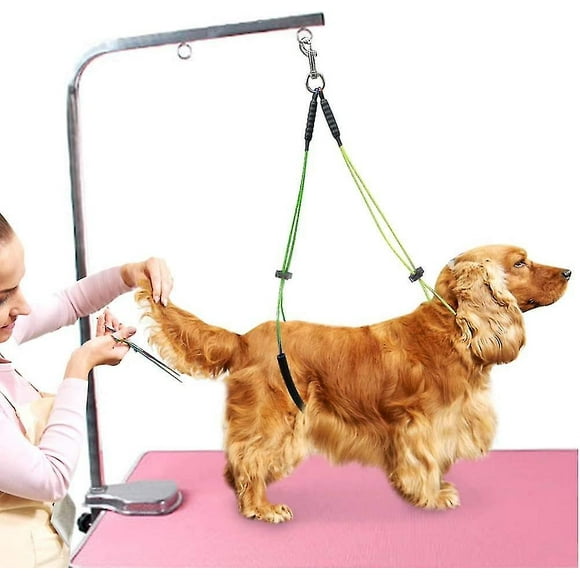 Pet Grooming Table Rope Pet Grooming Leash Neck And Hock Holder Dog Grooming Buckle Yellow+green