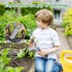 thumbnail image 4 of 2 Pcs Seedling Transplant Tongs- 8.7 Inch Stainless Steel Gardening Plants Transplant Tongs- Seedling Remove Transplant, 4 of 5