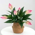 thumbnail image 3 of Trayknick Beautiful Fine Texture Artificial Flower Vivid Handmade Plastic Simulation Spathiphyllum for Home White, 3 of 13