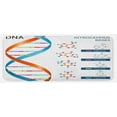 thumbnail image 1 of Science Kitchen Mat, DNA Bases Chemistry Biochemistry Biotechnology Science Spiral Genetic, Plush Decorative Kitchen Mat with Non Slip Backing, 47" X 19", Multicolor, by Ambesonne, 1 of 1