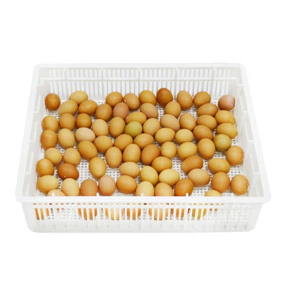 Hatching Egg Basket (80 Chicken Eggs), CS80Y, Durable, ABS Plastic, Fits Hatching Time T Incubators