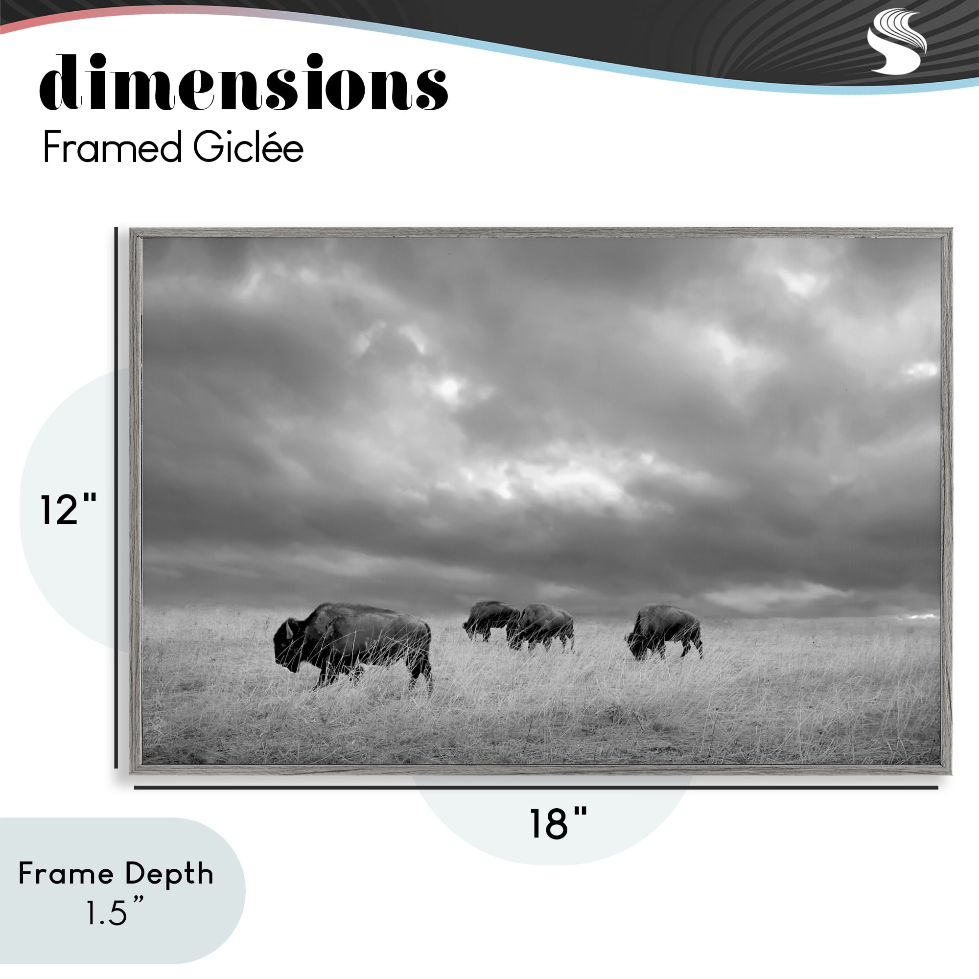 Stupell Industries Bisons Under an Autumn Sky Gray Framed Giclee Art, design by Steve Toole