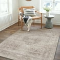 thumbnail image 6 of BERTHMEER 3'x5' Small Area Rugs for Living Room Bedroom Office Indoor Vintage Traditional Distressed Rugs Washable Non-slip,Beige Carpets, 6 of 11