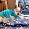 thumbnail image 6 of Warm Pullover Fleece Dog Jacket with O-Ring Leash - Winter Small Dog Sweater Coat - Cold Weather Dog Clothes, 6 of 6