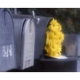 thumbnail image 3 of Larson, Scott 24x20 Black Modern Framed Museum Art Print Titled - Special Delivery III, 3 of 5