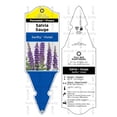 thumbnail image 3 of 1 Gallon Late Spring Garden Shrub 6 Pack, 3 of 9