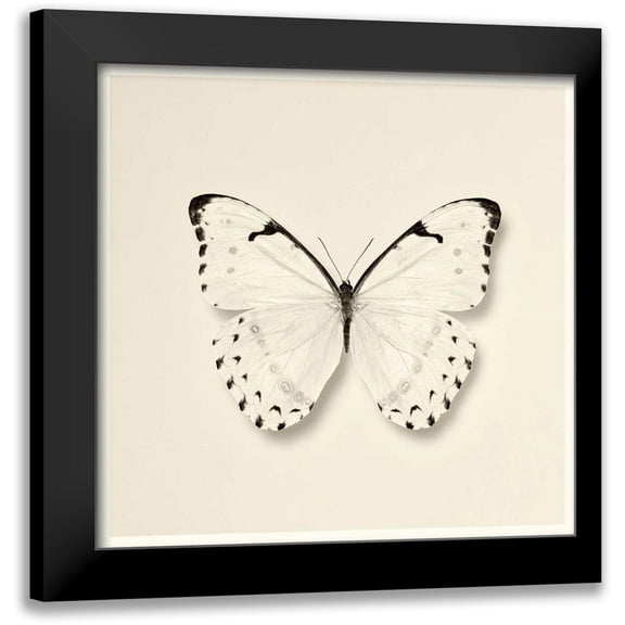 Van Swearingen, Debra 12x12 Black Modern Framed Museum Art Print Titled - Butterfly II BW Crop