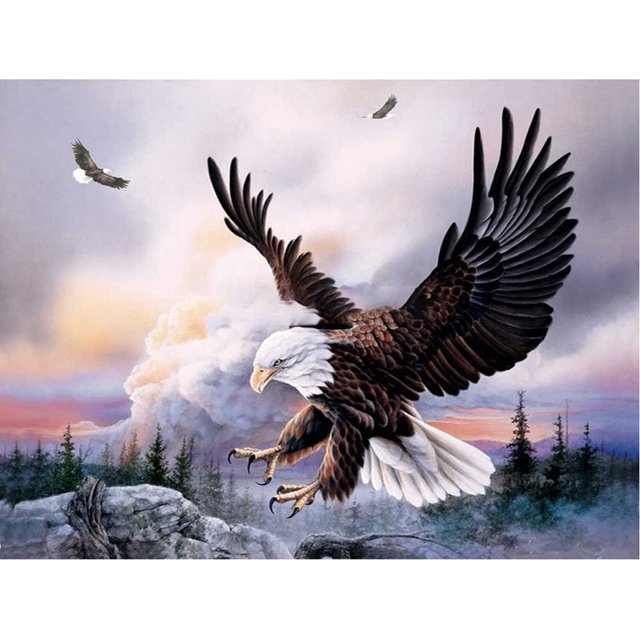 Taladro Pintura Diamante (DE4315) 5D DIY Completo Águila Punto de Cruz Bordado Kit (1118) 50x70cm Hugtrwg Para estrenar