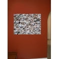thumbnail image 2 of Kraft "Beach Shells" Wall Decal, 2 of 2