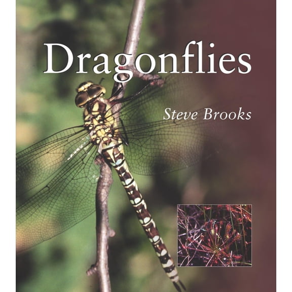 Pre-Owned Dragonflies (Paperback) 1588340643 9781588340641