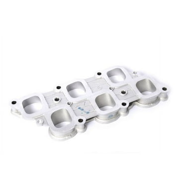 Lower Intake Manifold