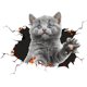 thumbnail image 1 of Pegatina extraíble para coche con diseño de gato, pegatina decorativa para coche, ventana de coche, animación, decoración divertida, pegatina de Chato TUNC Sencillez, 1 of 5