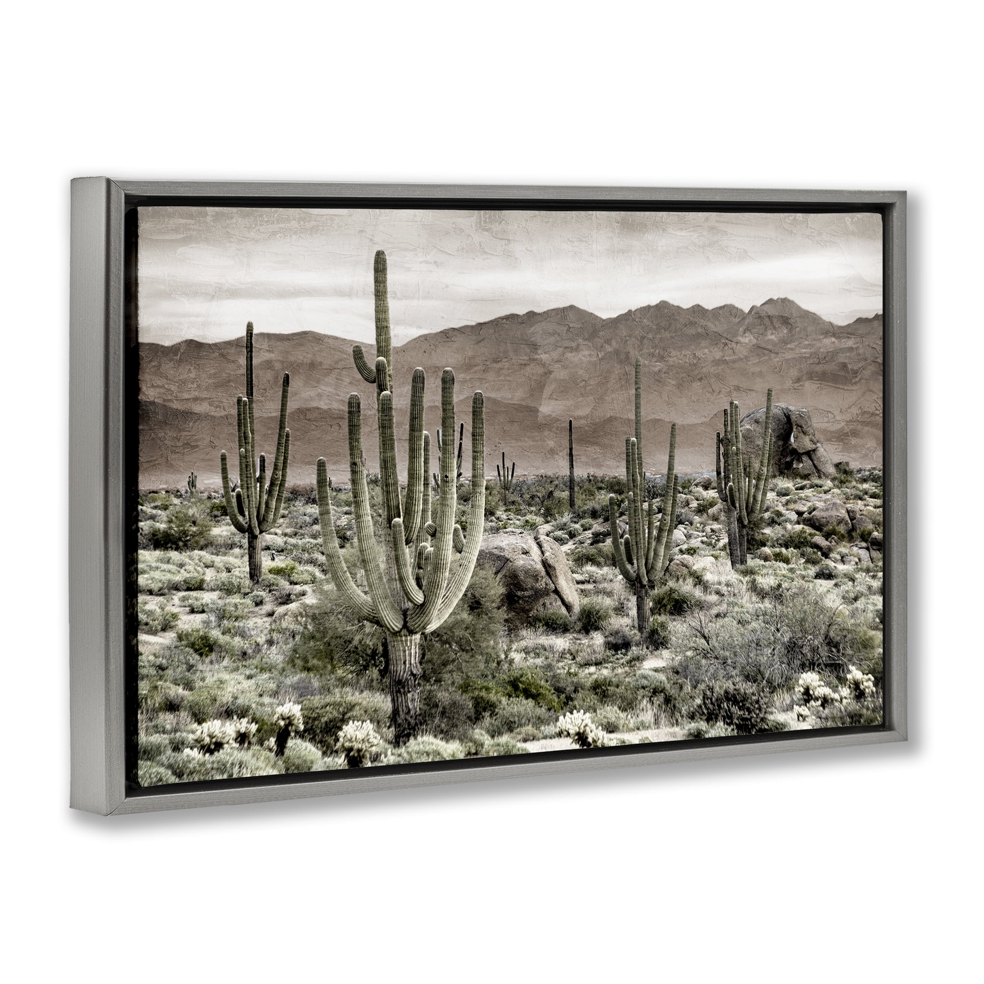 Stupell Industries Desert Land Cacti Wilderness Gray Framed Floater Canvas Wall Art, design by Kim Allen