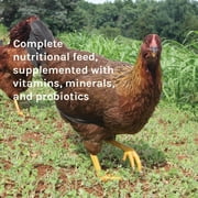 New Country Organics | Chicken Feed 50lb | Classic Grind Layer Chicken Feed for Laying Hens | Ground Grain | Soy-Free | 17% Protein | Certified Organic & Non-GMO Chicken Food | 50lbs Bag