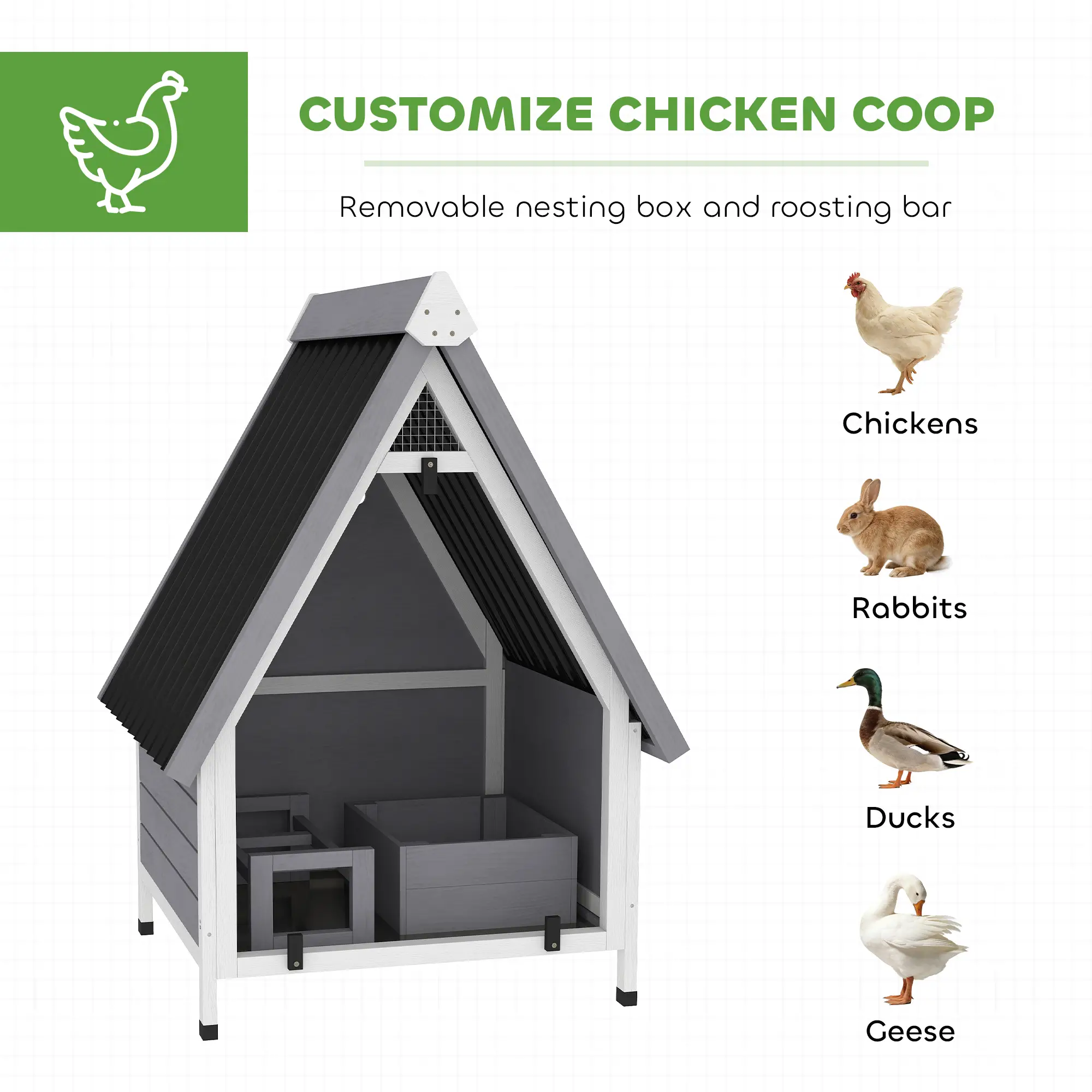Chicken Coop