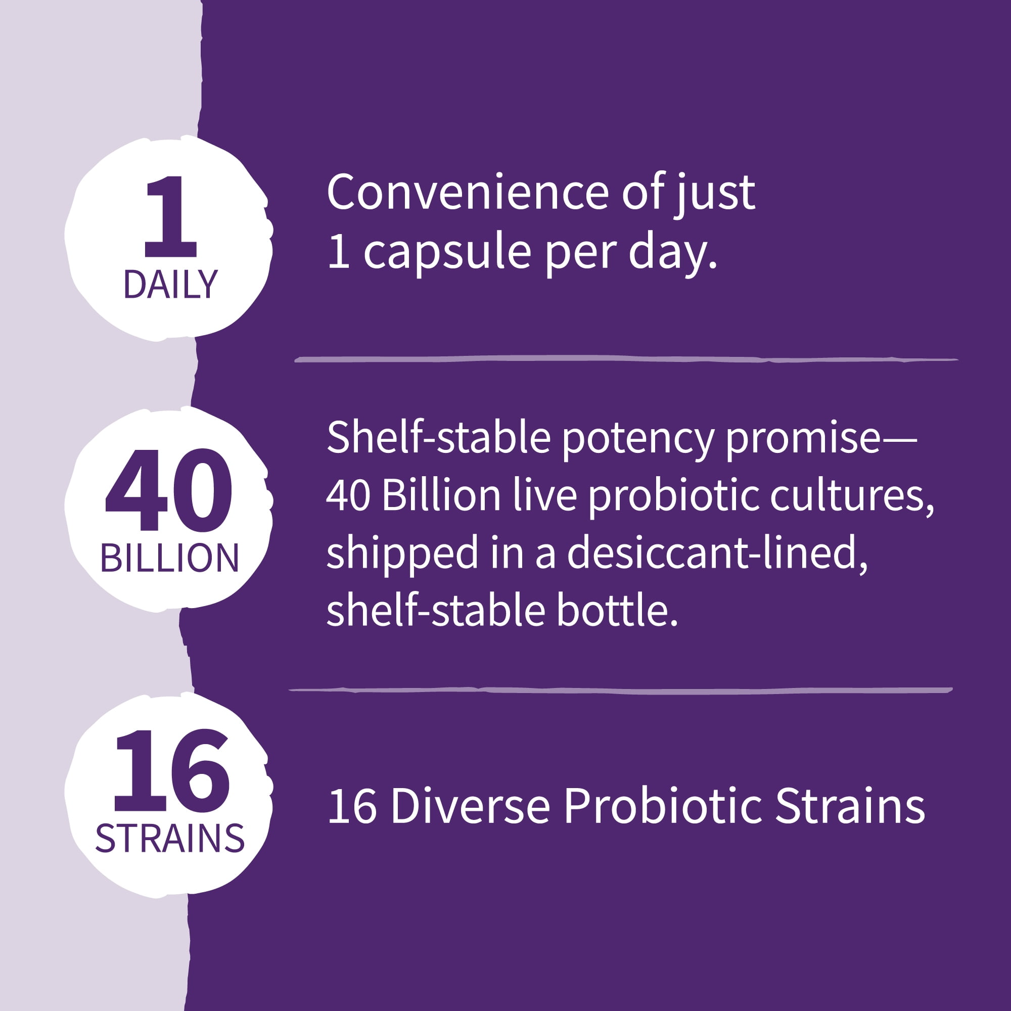 Garden of Life Dr. Formulated Mood Probiotic Capsules, 40 Billion CFU, 30 Ct