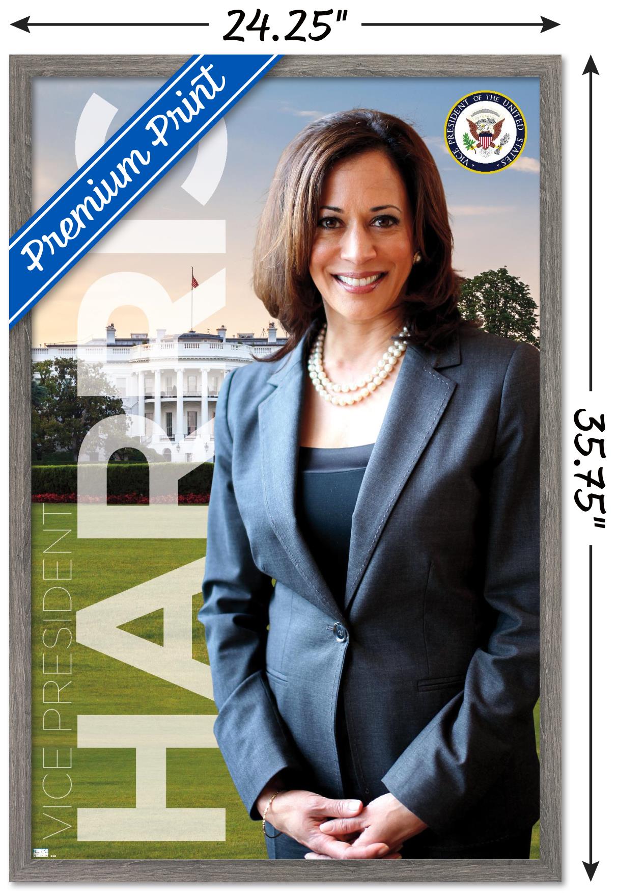 Trends International Kamala Harris - Vice President Wall Poster 24.25" x 35.75" x .75" Barnwood Framed Version