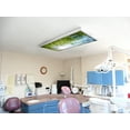 thumbnail image 6 of Octo Lights - Fluorescent Light Covers - 2x4 Flexible Ceiling Light Filters - For Classrooms and Offices - Tree 006, 6 of 7