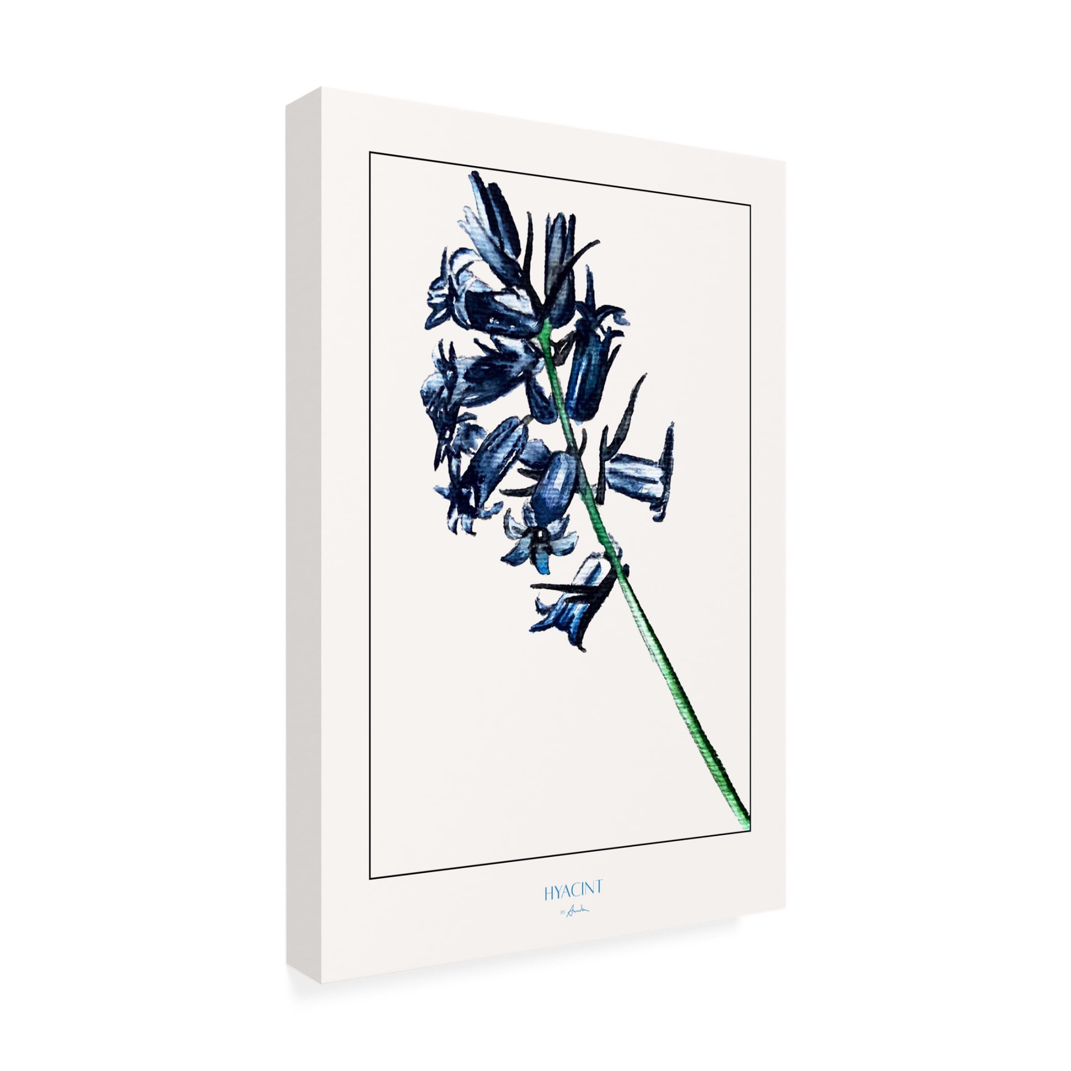 Trademark Fine Art Annika John Hyacint Canvas Wall Art