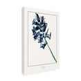 thumbnail image 2 of Trademark Fine Art Annika John Hyacint Canvas Wall Art, 2 of 4