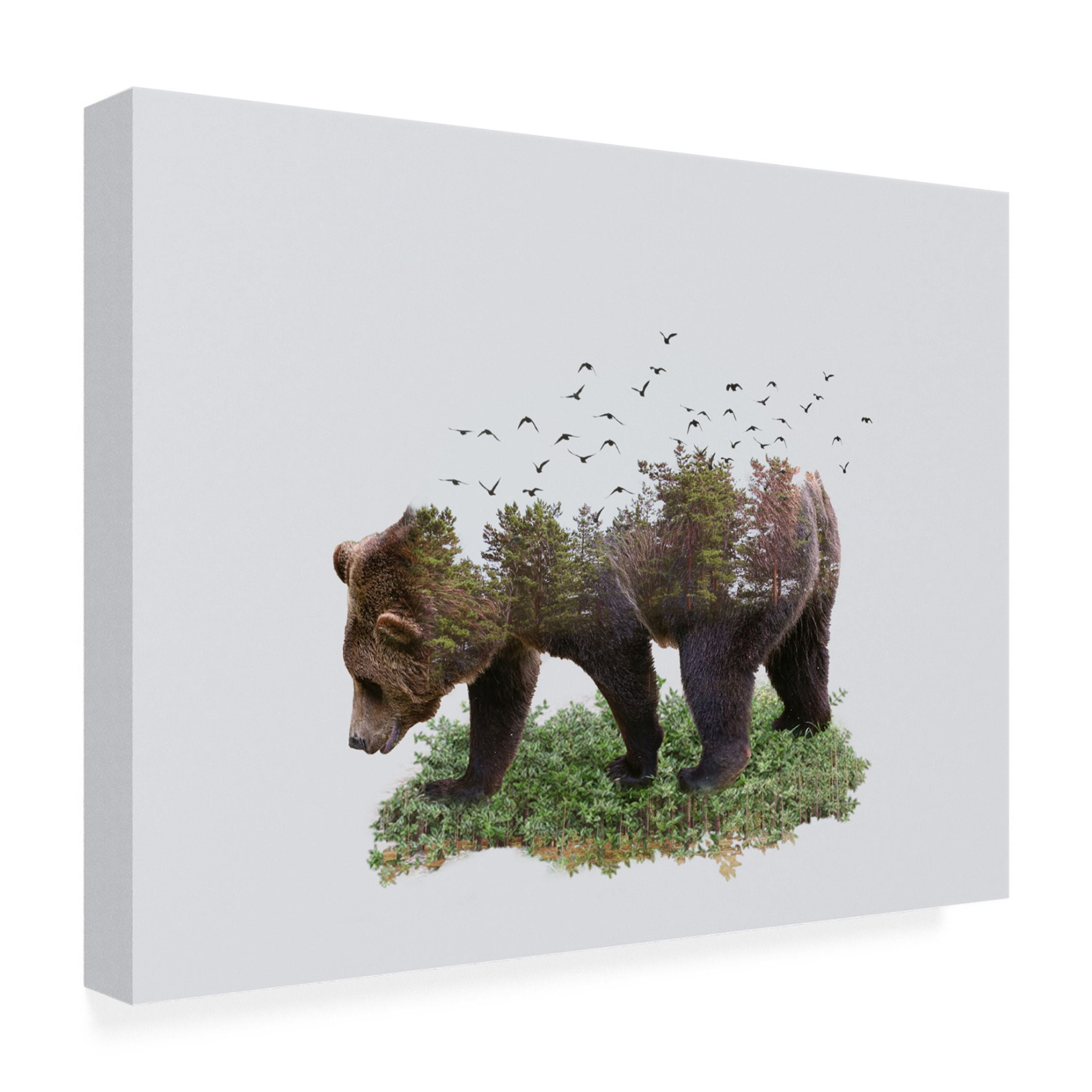 Trademark Fine Art Salome Zhividze Bear Canvas Wall Art