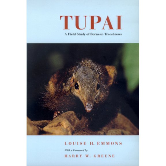 Pre-Owned Tupai: A Field Study of Bornean Treeshrews Volume 2 (Paperback) 0520223845 9780520223844