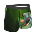 thumbnail image 4 of Haiem Red-Eyed Tree Frog Men's Boxer Briefs, Every Day Comfort Stretch Cotton Moisture-Wicking Underwear-X-Large, 4 of 8