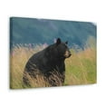 thumbnail image 2 of Majestic Black Bear Art Majestic Black Bear Hound Print Animal Wall Art Wildlife Canvas Prints Wall Art Ready to Hang Unframed, 2 of 18