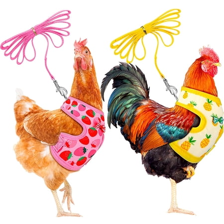 2 Pcs Adjustable Chicken Harness and Leash Set Spring Summer Comfortable Elastic Hen Vest Breathable Harness for Hens Duck Goose Pet Training Walking Supplies(Pineapple, Strawberry,Medium)