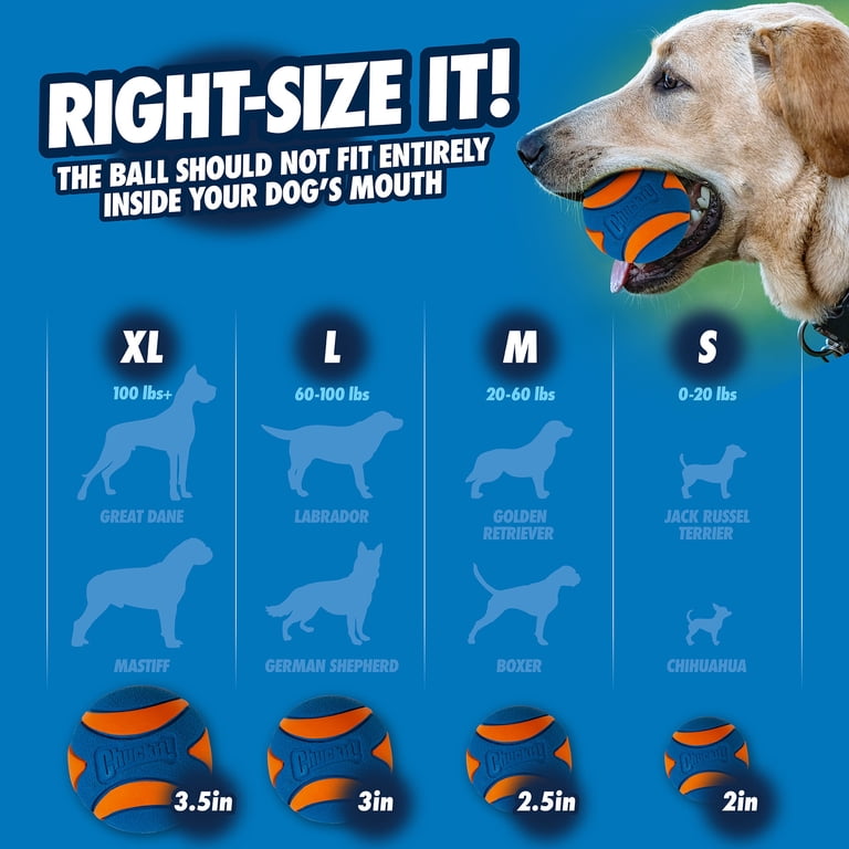 Chuckit! Fetch Medley Dog Ball Variety Pack, 3 Count photo 4