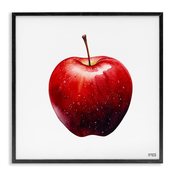 Stupell Industries Contemporary Bold Red Apple Black Framed Giclee Art, 24 x 24, by RB