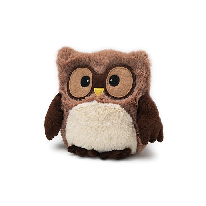 Hooty Microwave Owl 2024 myteluguroots