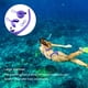 thumbnail image 3 of Yuarrent Tubo de esnórquel plegable profesional para hombres y mujeres con caja de almacenamiento, manguera de respiración de buceo para Deportes acuáticos Violeta, 3 of 6