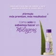 thumbnail image 4 of Milagros Shampoo Ultranutritivo Premium, 4 of 4