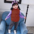 thumbnail image 5 of Chaleco acolchado cálido con capucha para niñas y niños, ropa de abrigo con forro suave y aislamiento, 5 of 5