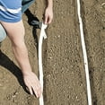 thumbnail image 4 of Gurney's Scarlet Nantles Carrot Seed Tapes - 2 seed tapes measuring 7.5 feet long each, 4 of 4