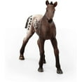 thumbnail image 2 of Appaloosa Foal, 2 of 4