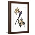 thumbnail image 1 of Audubon: Flycatcher, 1827 Framed Print Wall Art By John James Audubon, 1 of 5
