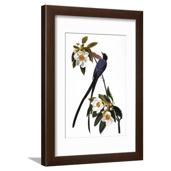 Audubon: Flycatcher, 1827 Framed Print Wall Art By John James Audubon