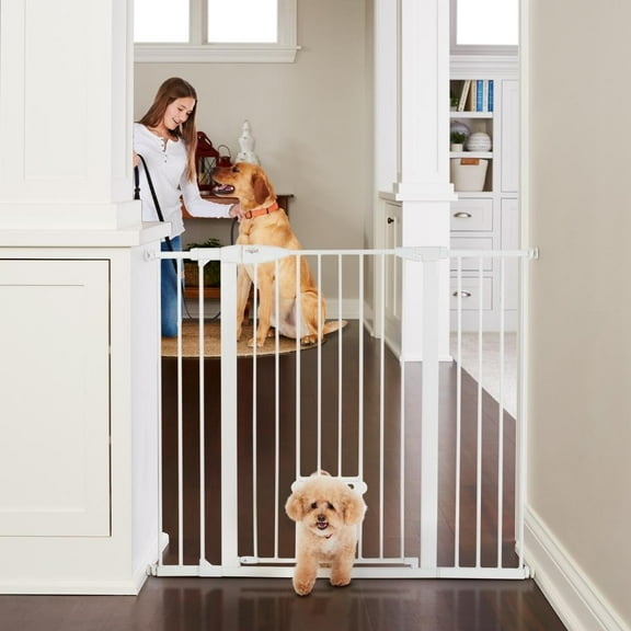 North States MyPet Extra Tall and Wide Metal Walk Thru EasyPass Pet Gate, Expands to 52" Wide